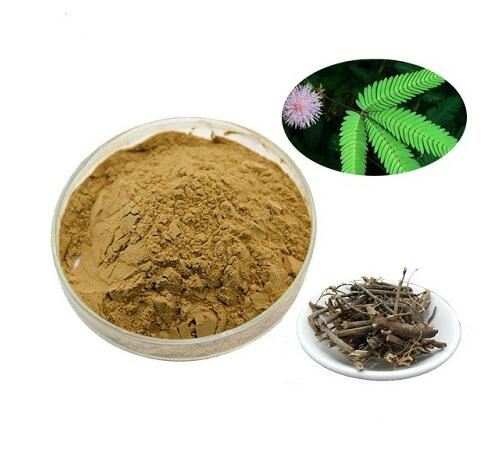 Where to Buy Mimosa Hostilis Root Bark Online